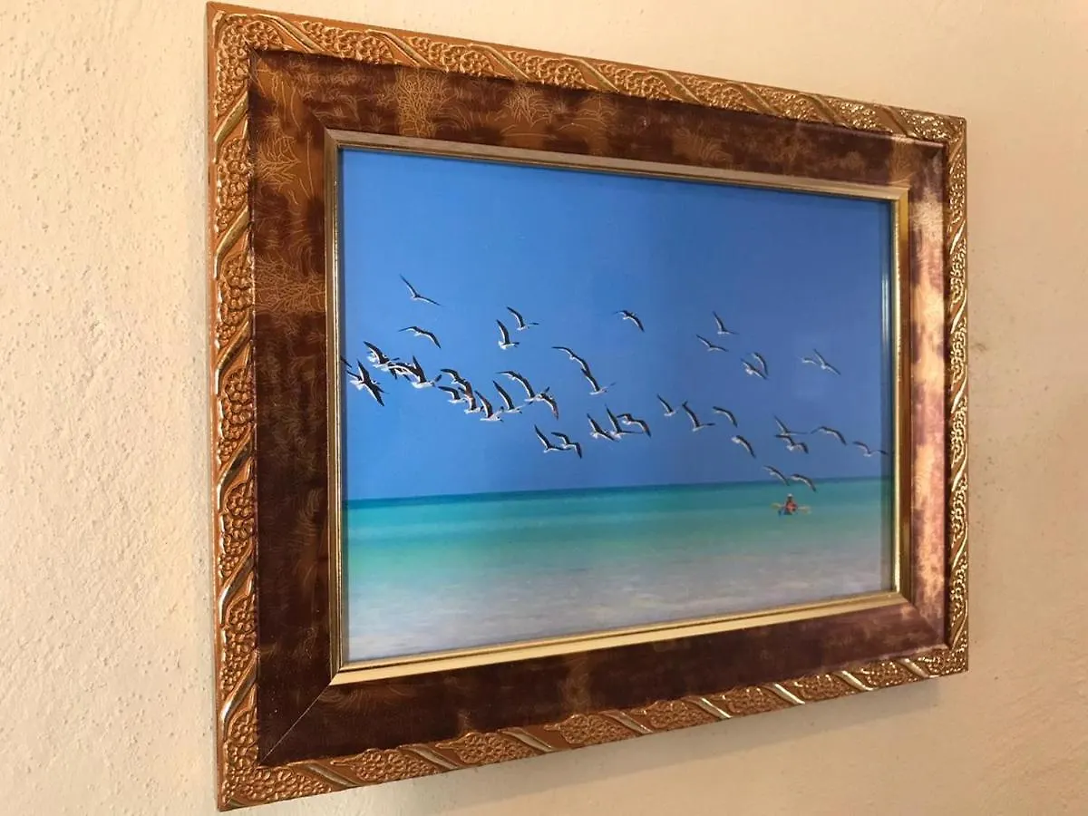 Estudios Rehilete Isla Holbox Aparthotel