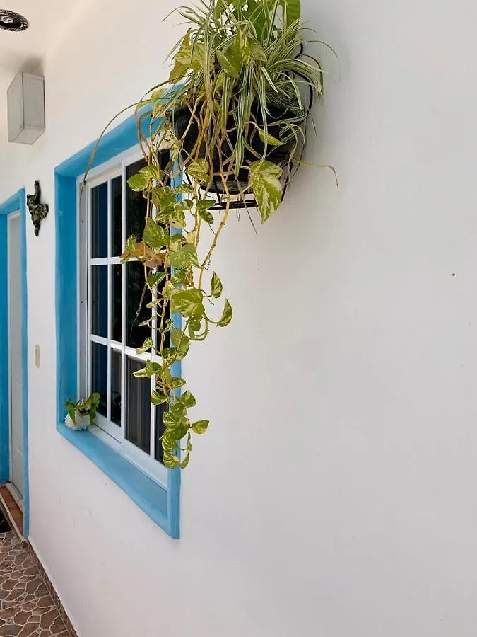 Aparthotel Estudios Rehilete Isla Holbox Mexico