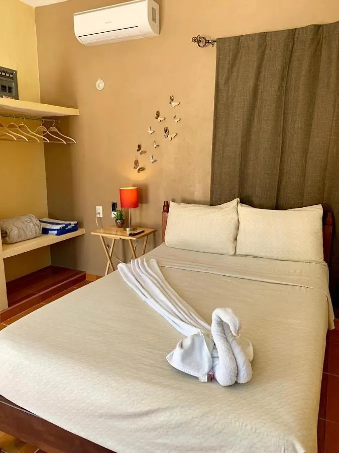 Estudios Rehilete Isla Holbox Mexico