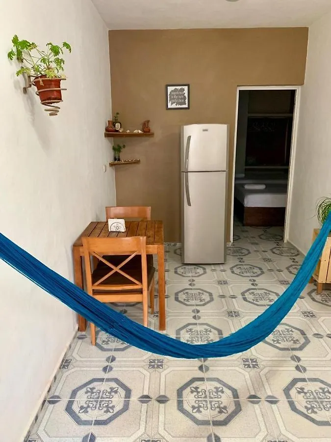 Estudios Rehilete Isla Holbox