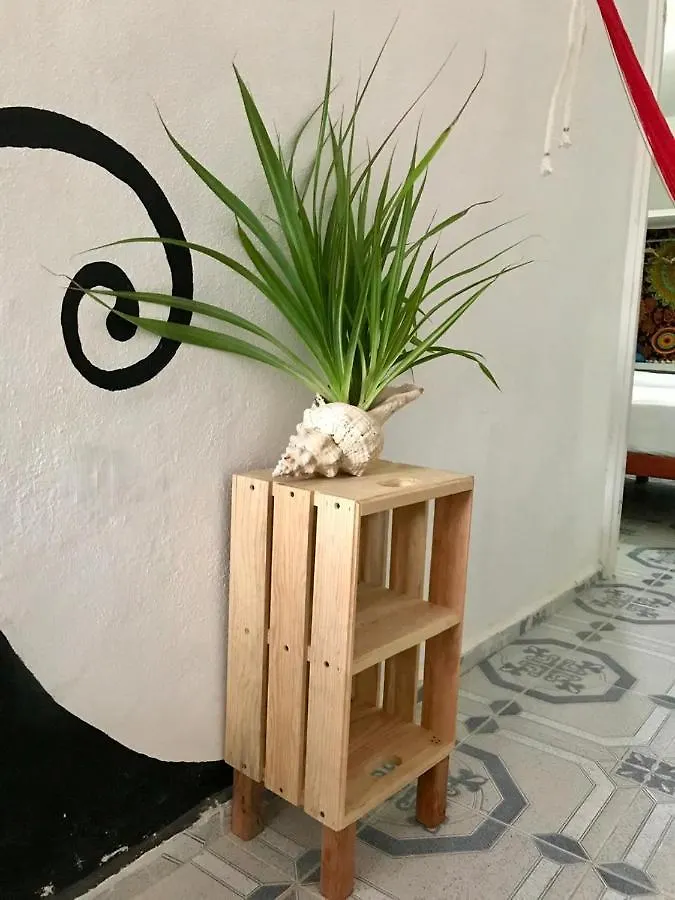 Aparthotel Estudios Rehilete Isla Holbox Mexico