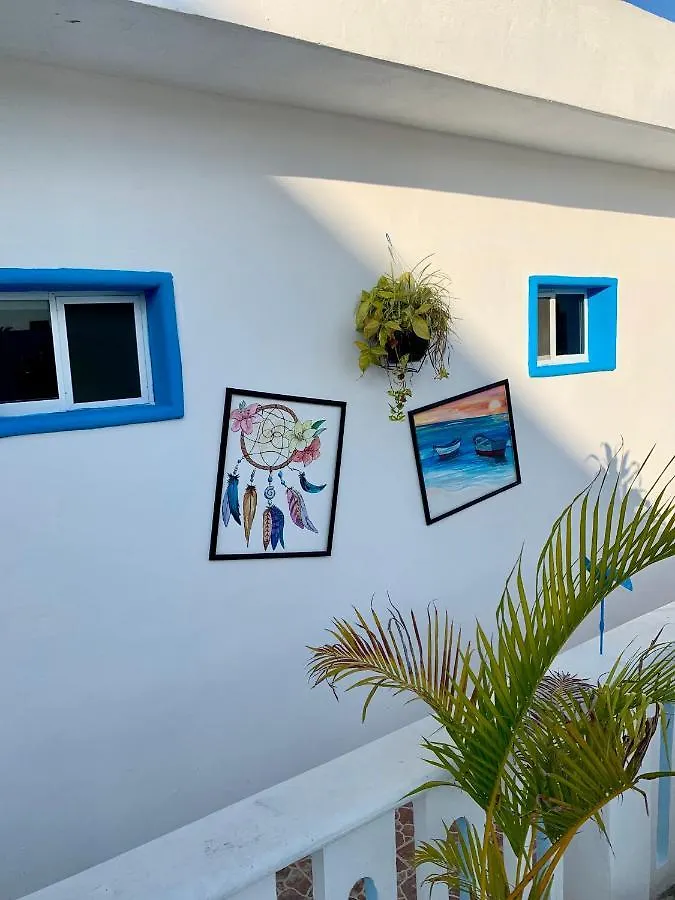 Estudios Rehilete Isla Holbox