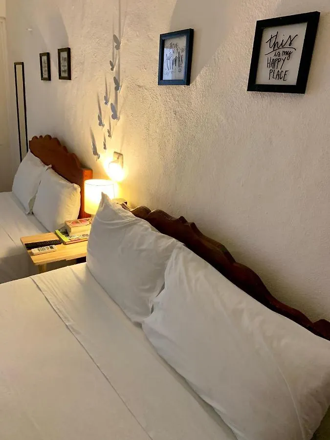 Estudios Rehilete Isla Holbox