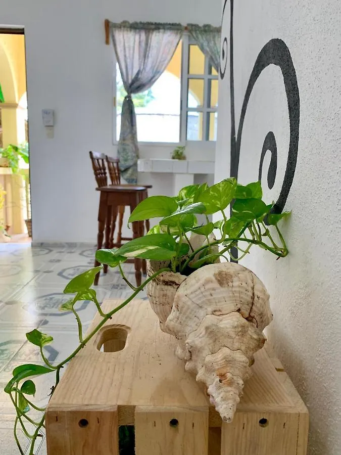 Estudios Rehilete Isla Holbox 0*,  Mexico