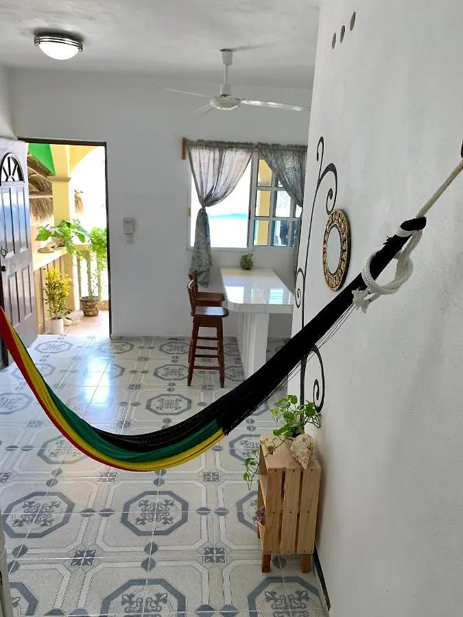 Estudios Rehilete Isla Holbox Mexico